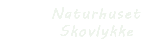 Naturhuset-Skovlykke - Privat vuggestue og børnehave
